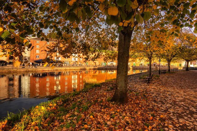 Exeter Quayside - Paul Stapleton